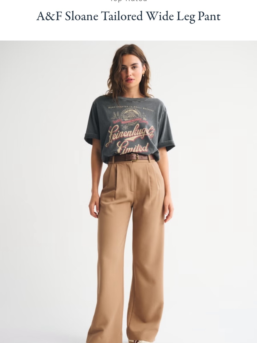 Abercrombie & Fitch Sloane Wide Leg Pant — Camel/Tan in 23